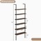 Wall Mounted 6-Tier Ladder Shelf for Books, Plants and Home Organization